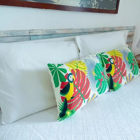 Amoreiras ゲストハウス